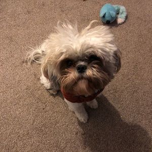 Meet your Posher, Ericca